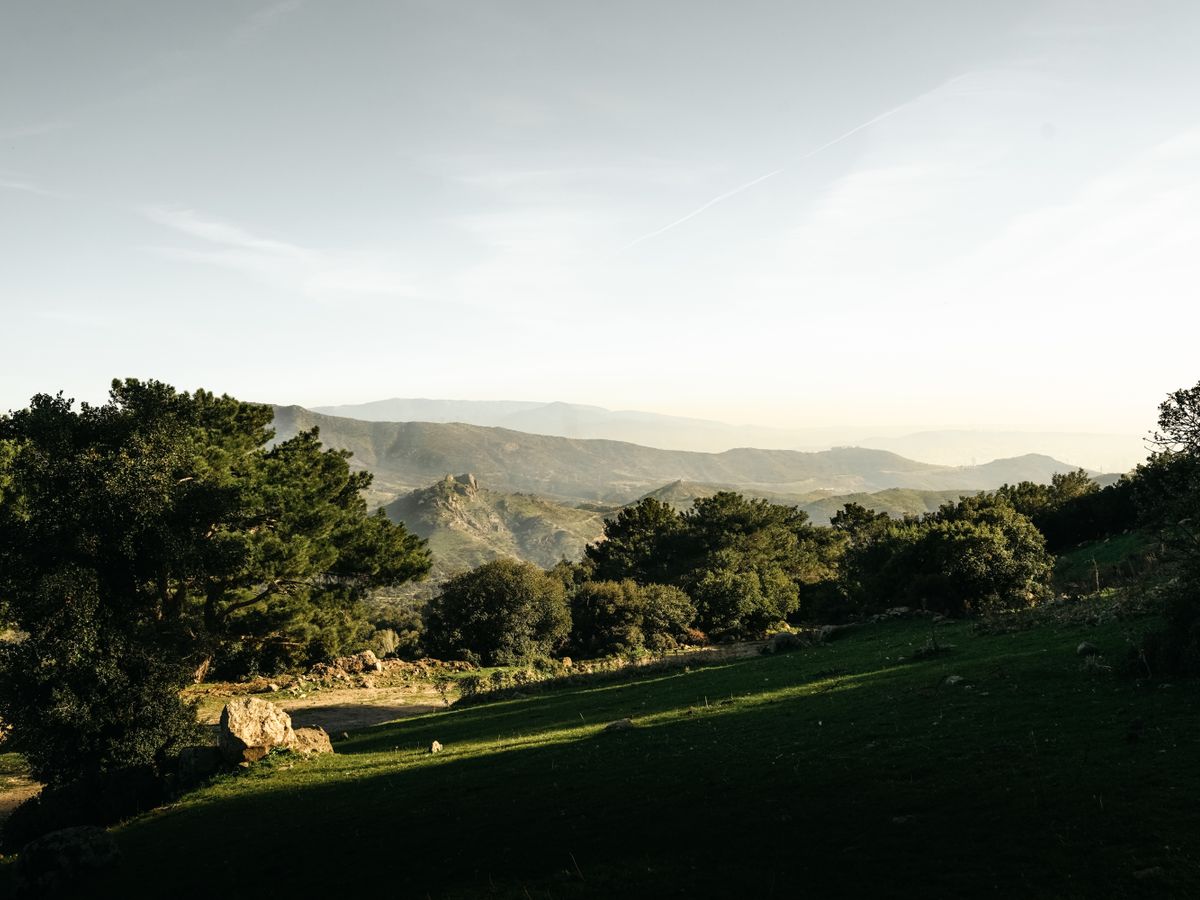 2 Day Private 1:1 MDMA Assisted Therapy Session in Andalucia 2