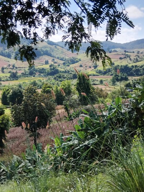 Free Beautiful rural landscape with lush greenery, hills, and sunlight. Stock Photo