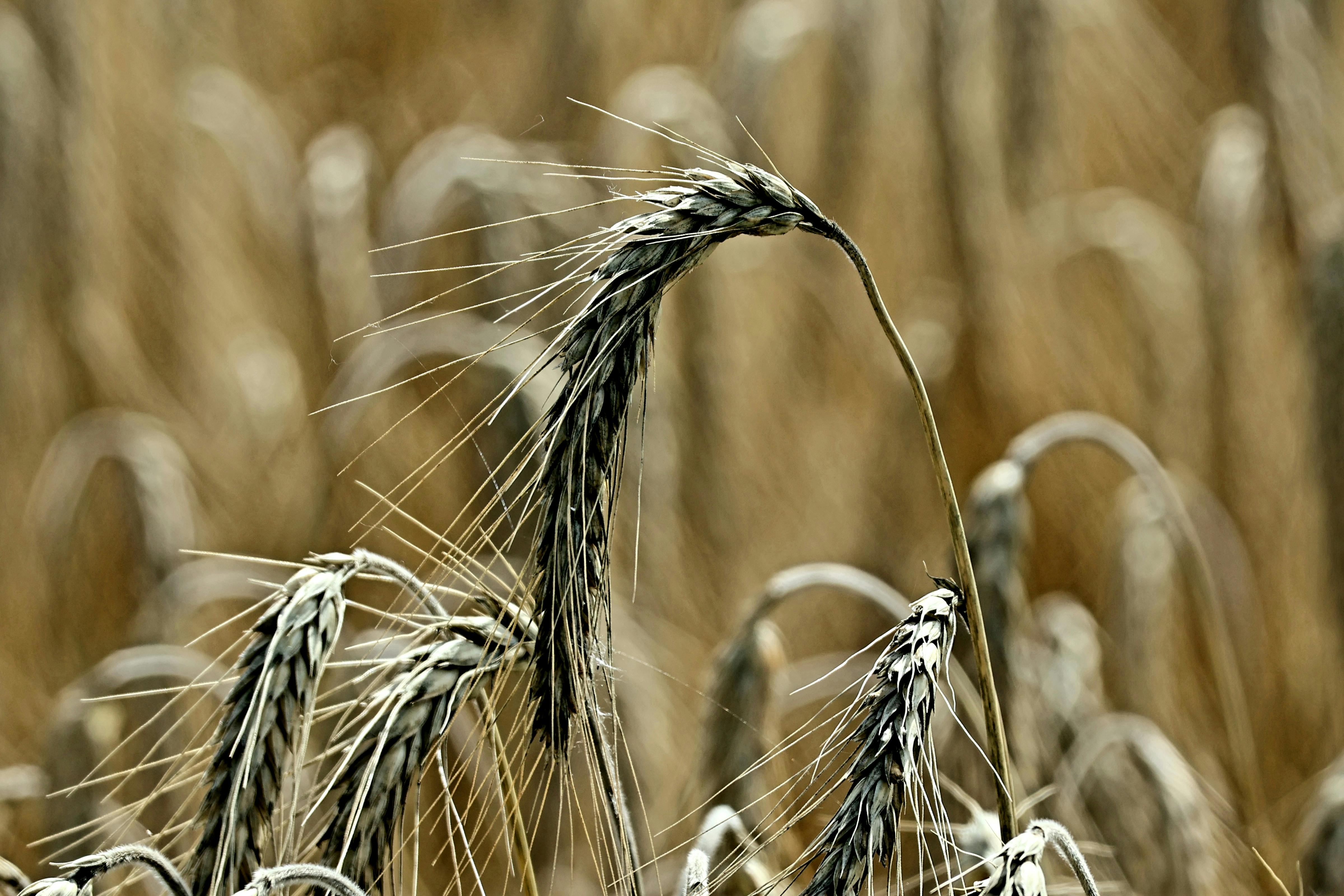 Soil testing technology and monitoring