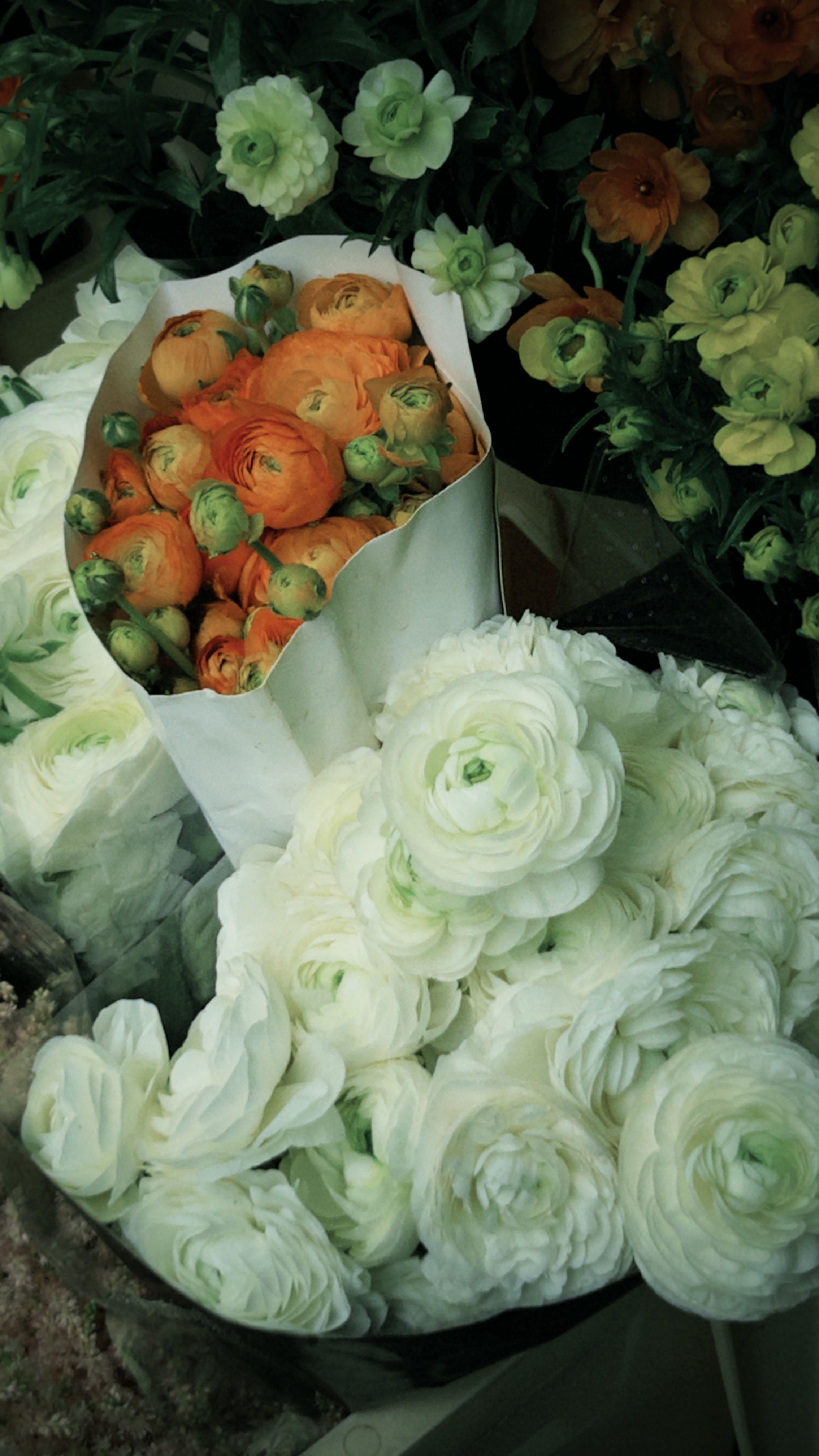[ColoSach]-colorful-bouquets-of-ranunculus-flowers-in-vibrant-hues-on-display.