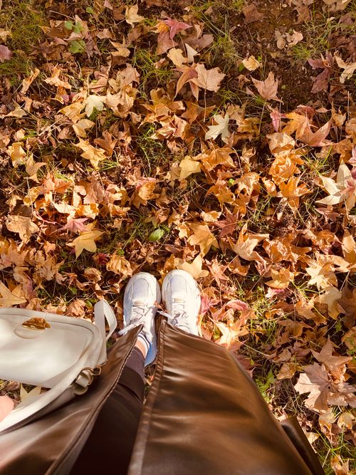 Free Fall leaves on the ground with visible white shoes and a bag. Perfect for autumn themed projects. Stock Photo
