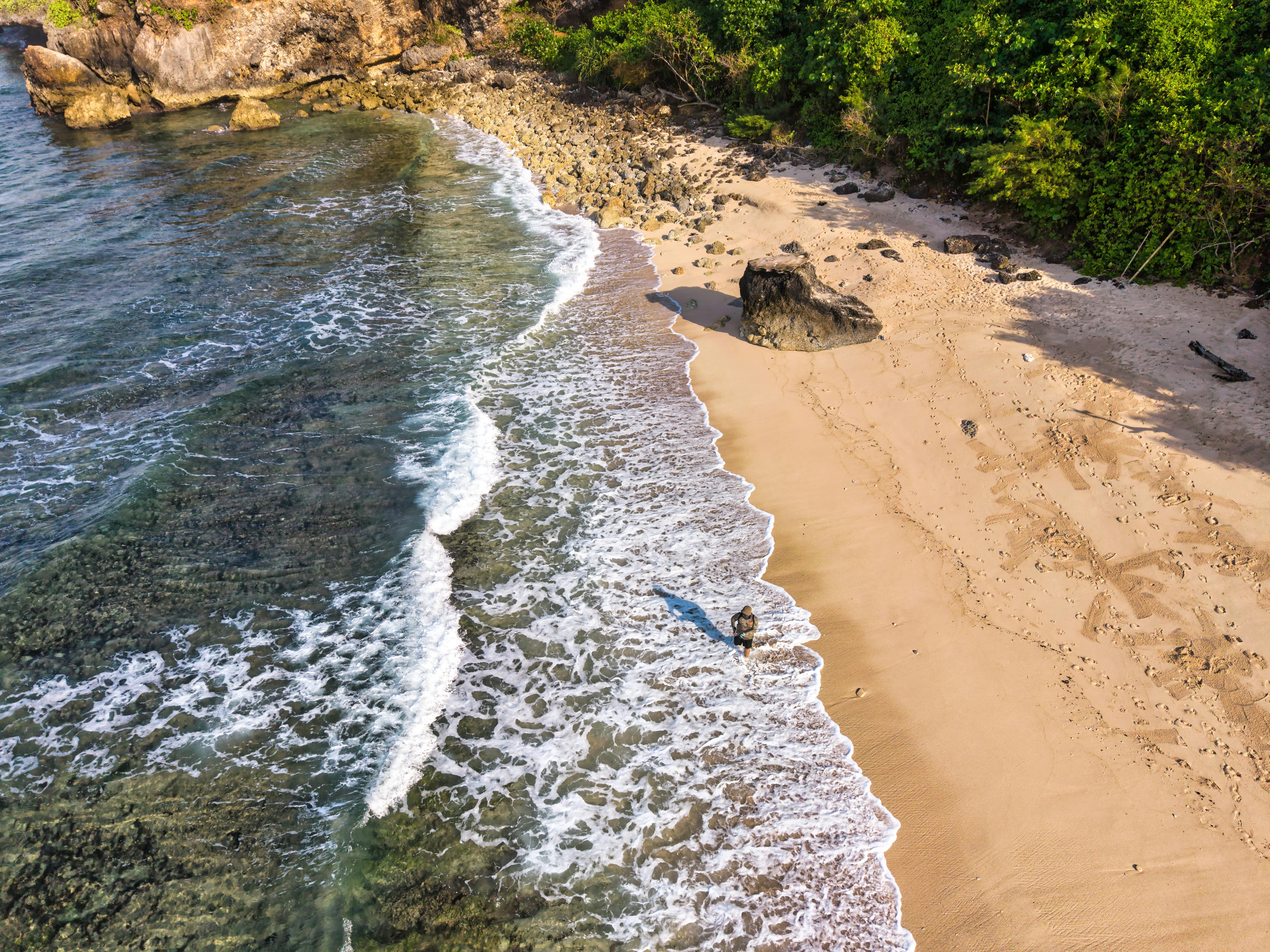 阿里山林鐵入選國際出版社經典鐵道名單