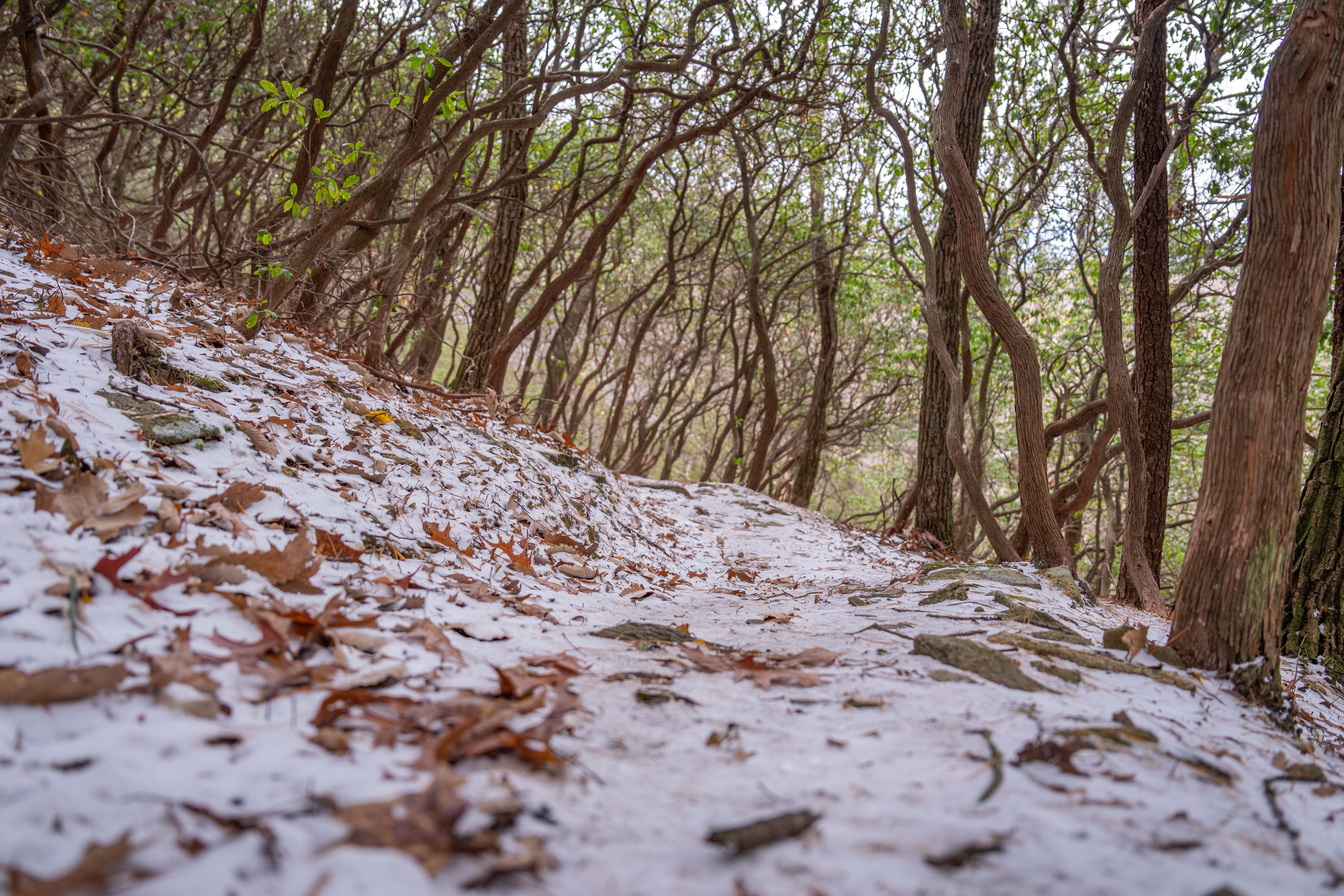 지리산 등산코스 지도