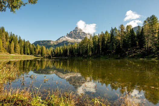 Image by Aleš Toman