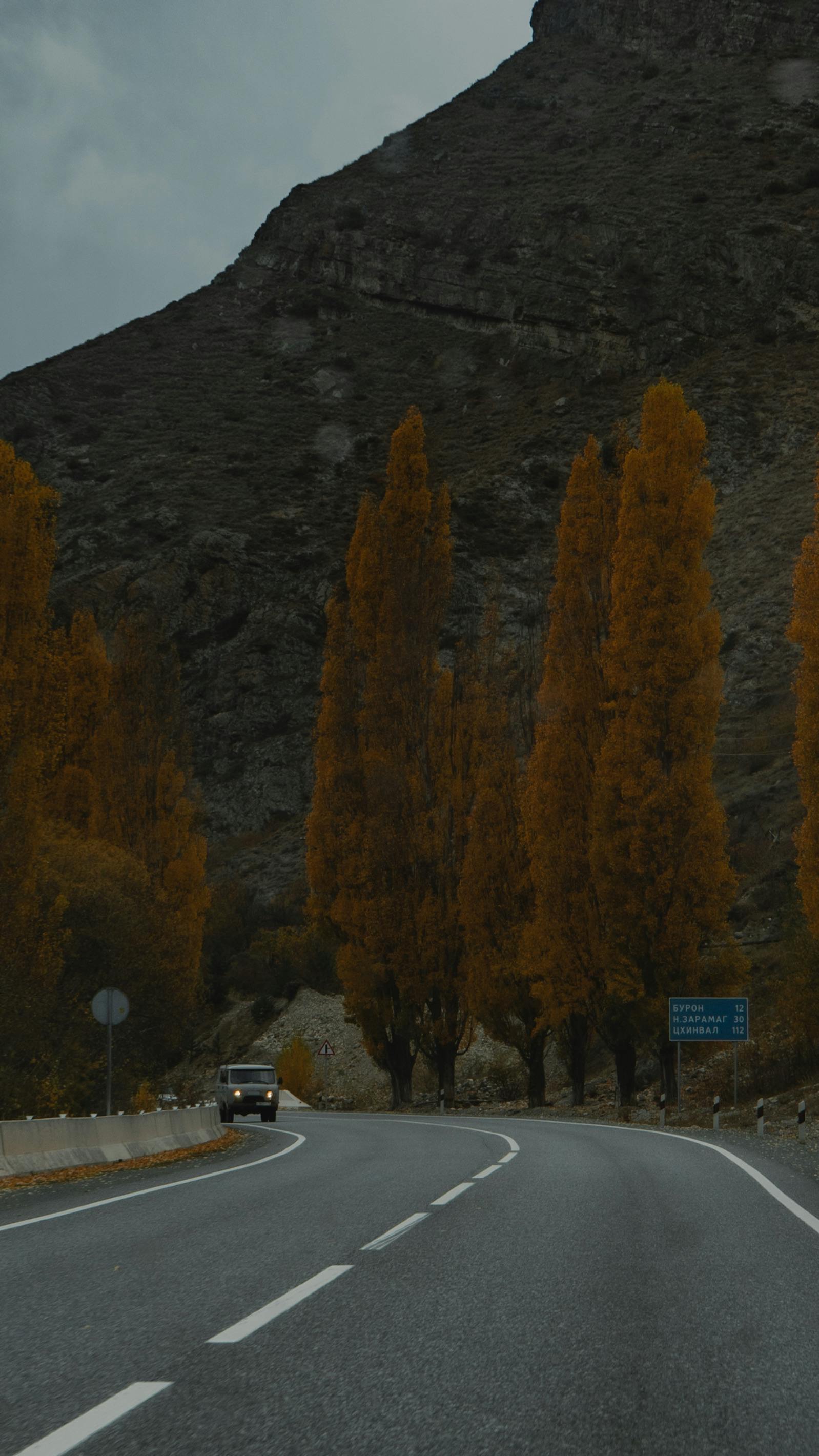 trisha paytas tea Latest