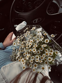 Beautiful bouquet of daisies on a person's lap, creating a romantic and serene atmosphere inside a car.