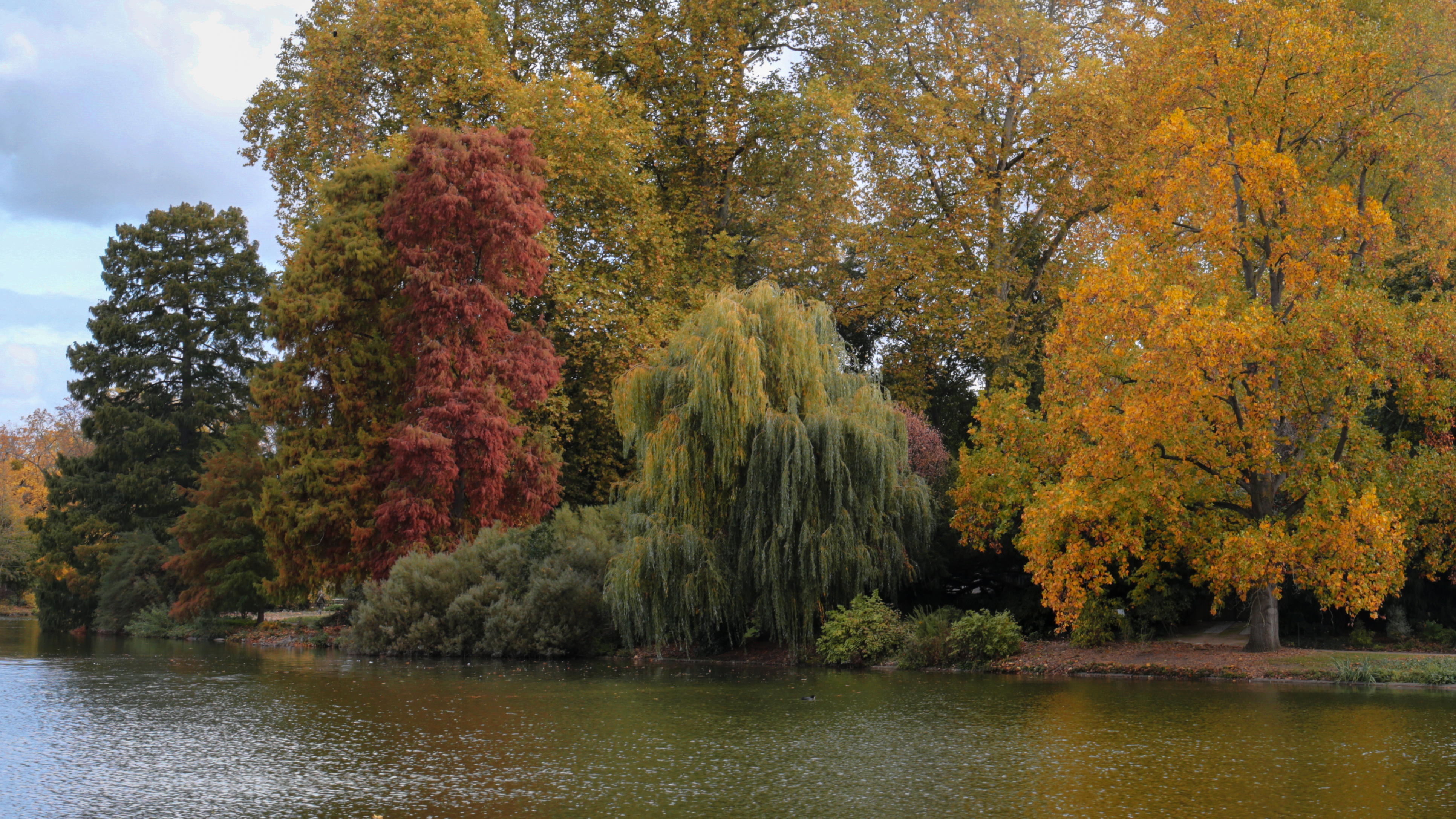 Bosque de la Seda & Tagus Riverbanks