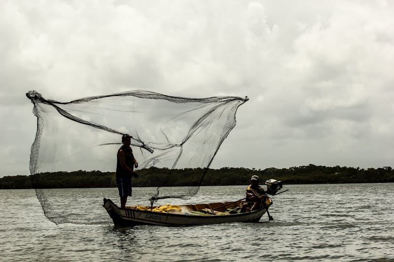 Textile Manufacturing Equipment