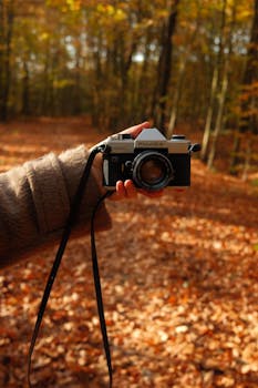Close-up of a vintage camera held in a vibrant autumn forest scene.