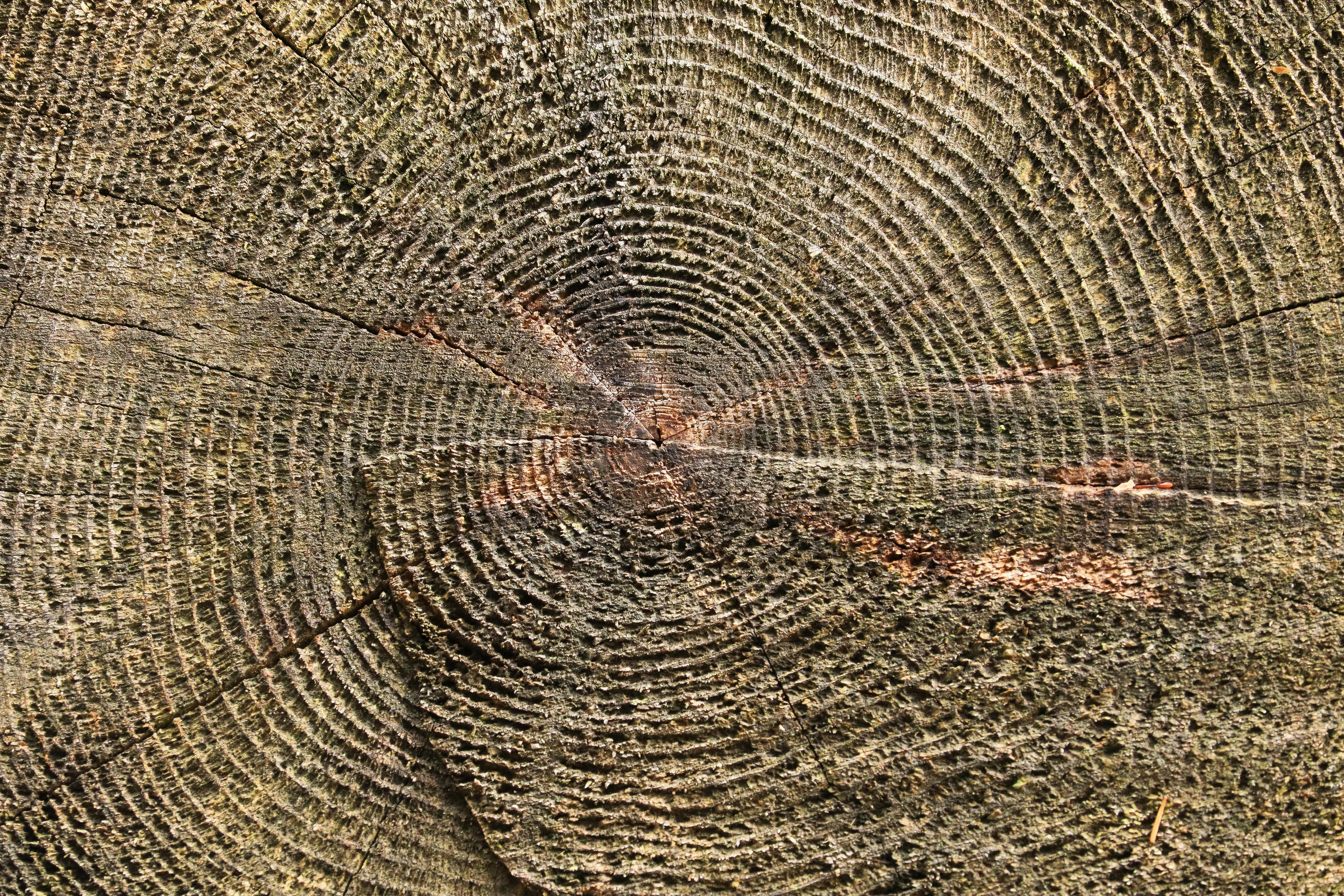 Titanic Structures Earth Magnetic Field 2026 Discovery