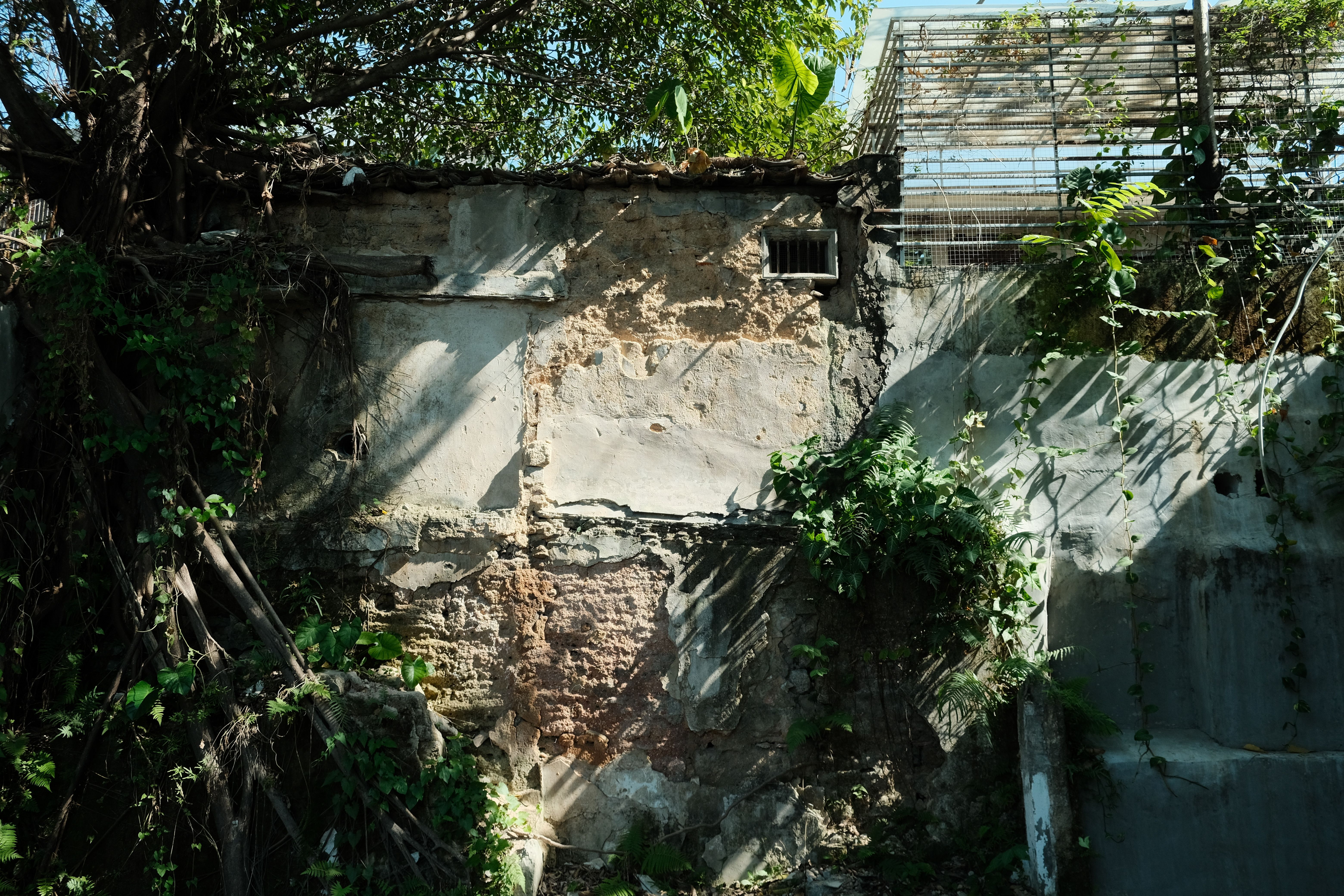 Plastering and Skimming in Southend — surfaces prepped and cut in by hand