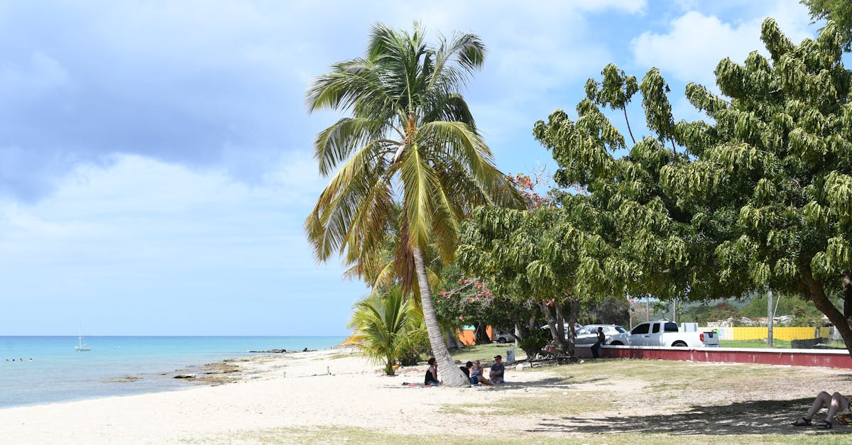 開南大學國際專修部舉辦迎新活動 助國際生提前適應大學生活