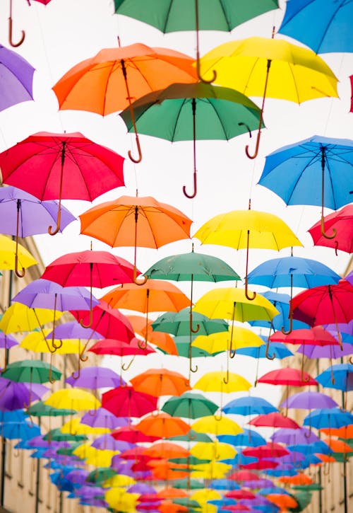 Free Umbrella Lot Stock Photo