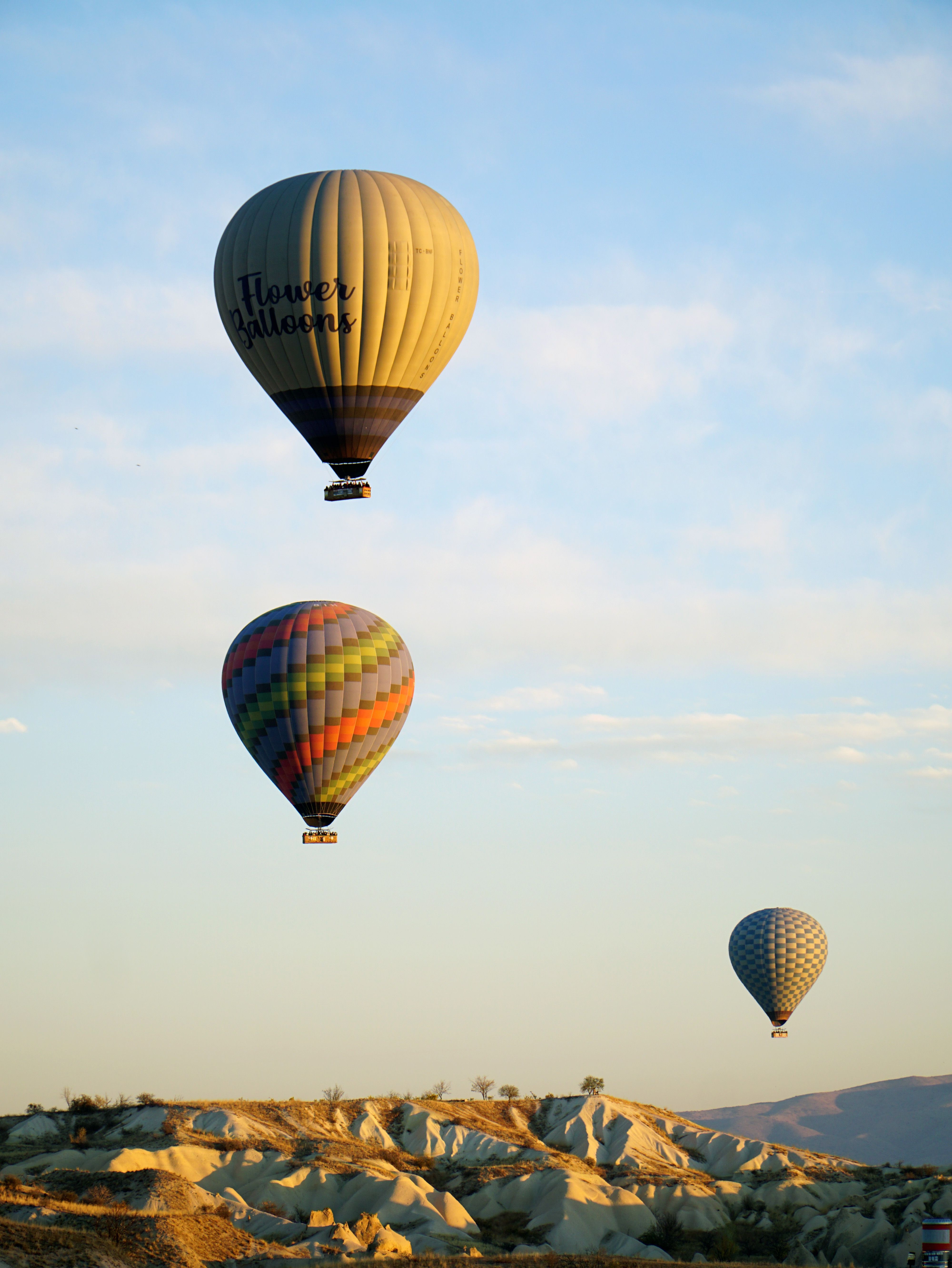 Colorful Hot Air Balloon Rising from the Ground · Free Stock Photo