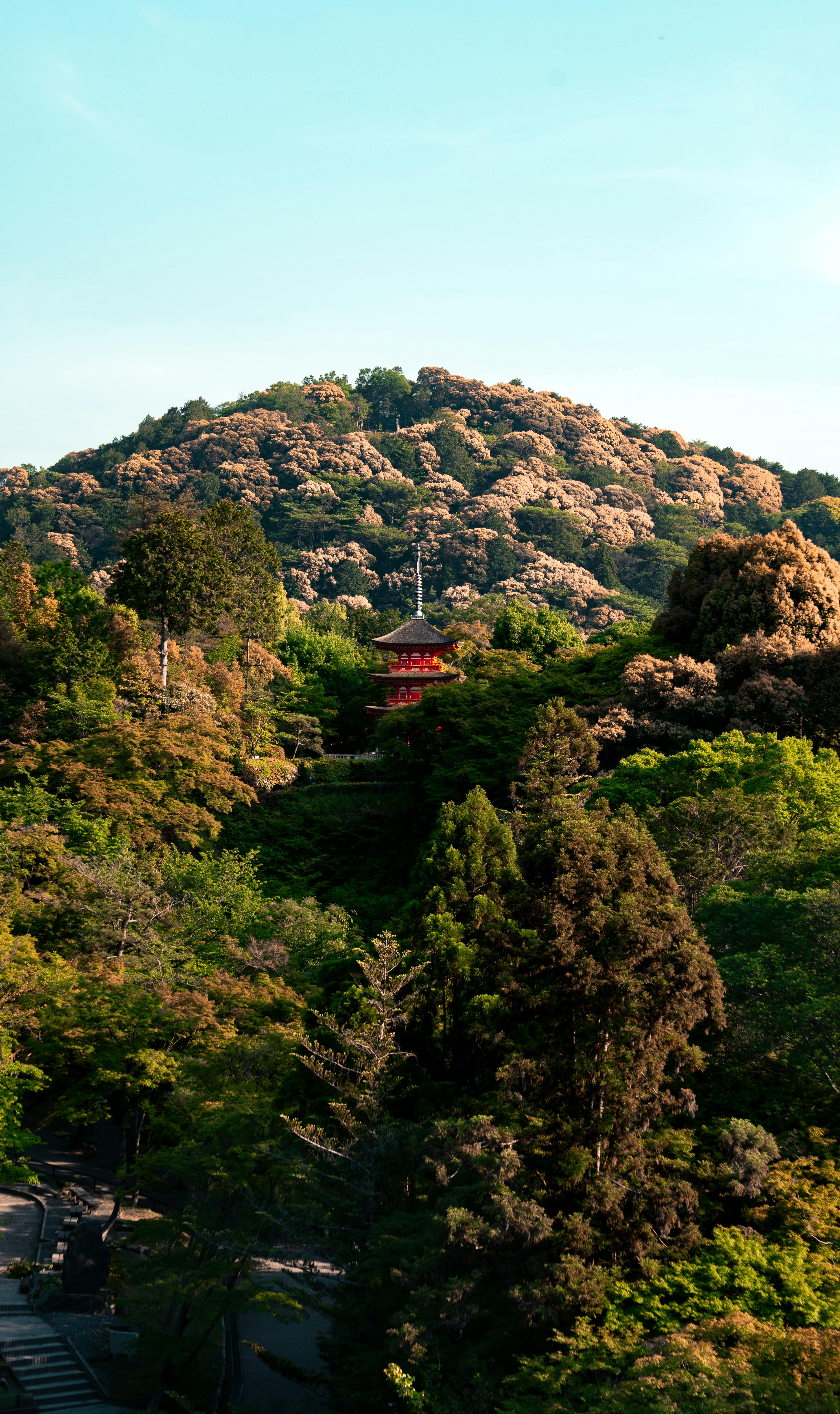 Japan
