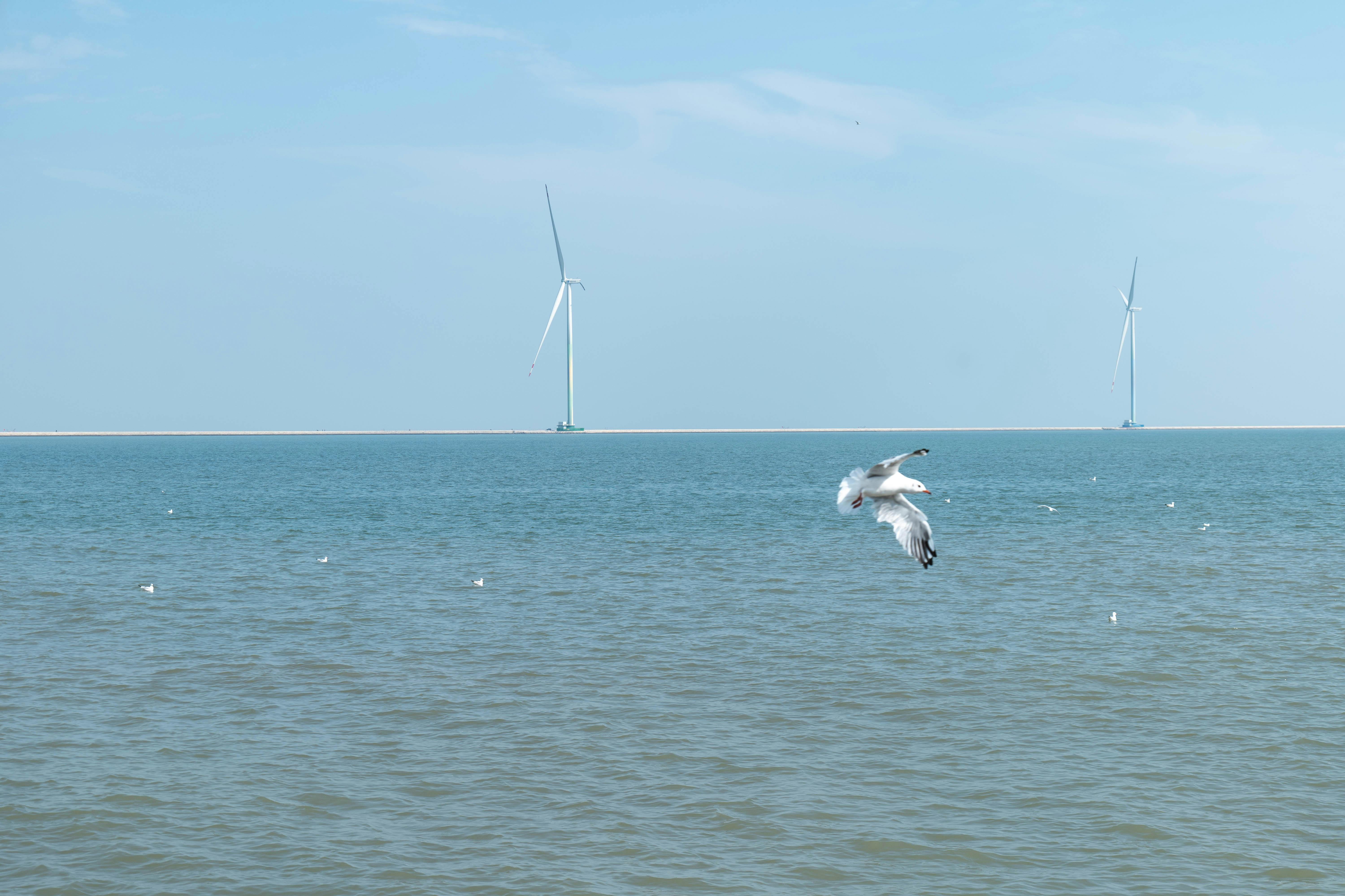 הקסם שבבוקר רגוע עם ציפורים ובריזה