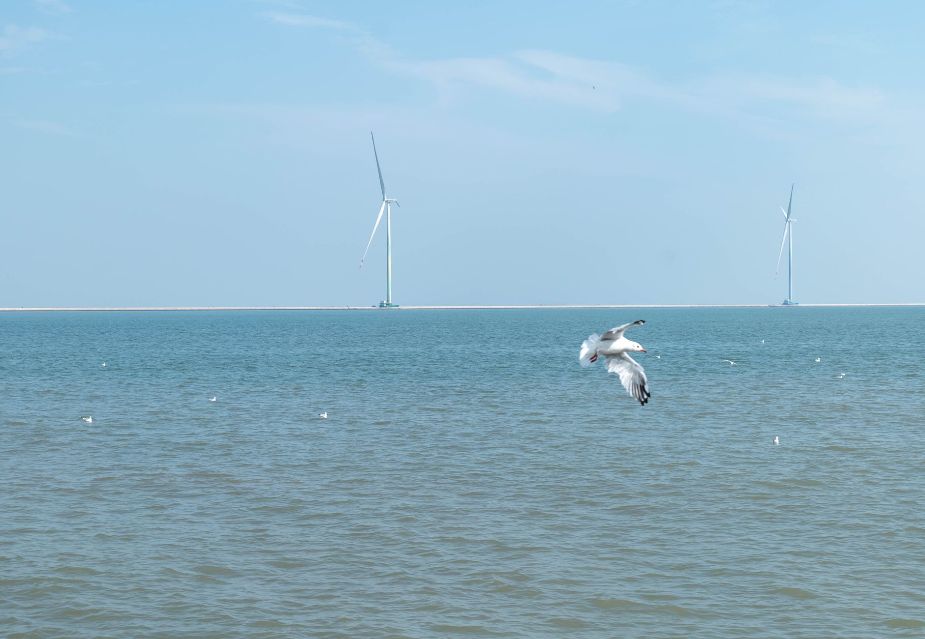 Leilões Eólica Offshore 2026: Rumo à Nova Matriz Energética Brasileira