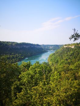 Breathtaking view of the Niagara River surrounded by lush green forests and clear blue skies.