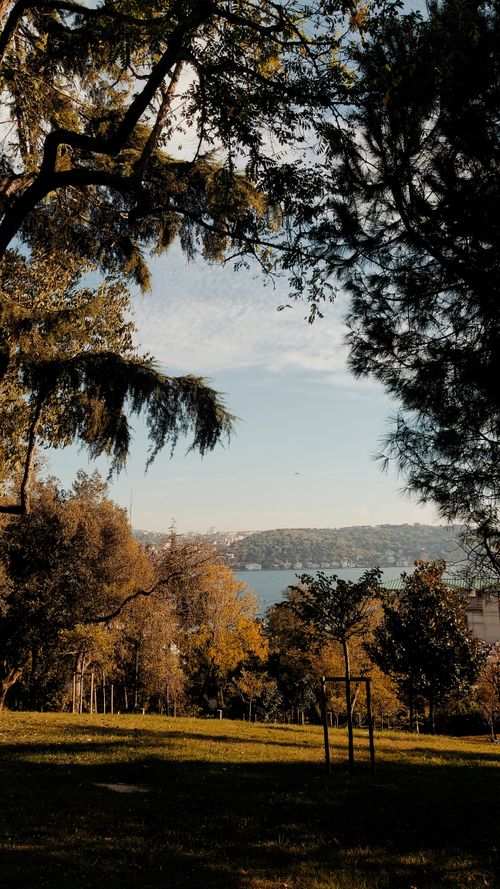 Free Idyllic view of Bosphorus from a lush park in Istanbul, Turkey, with autumn foliage. Stock Photo