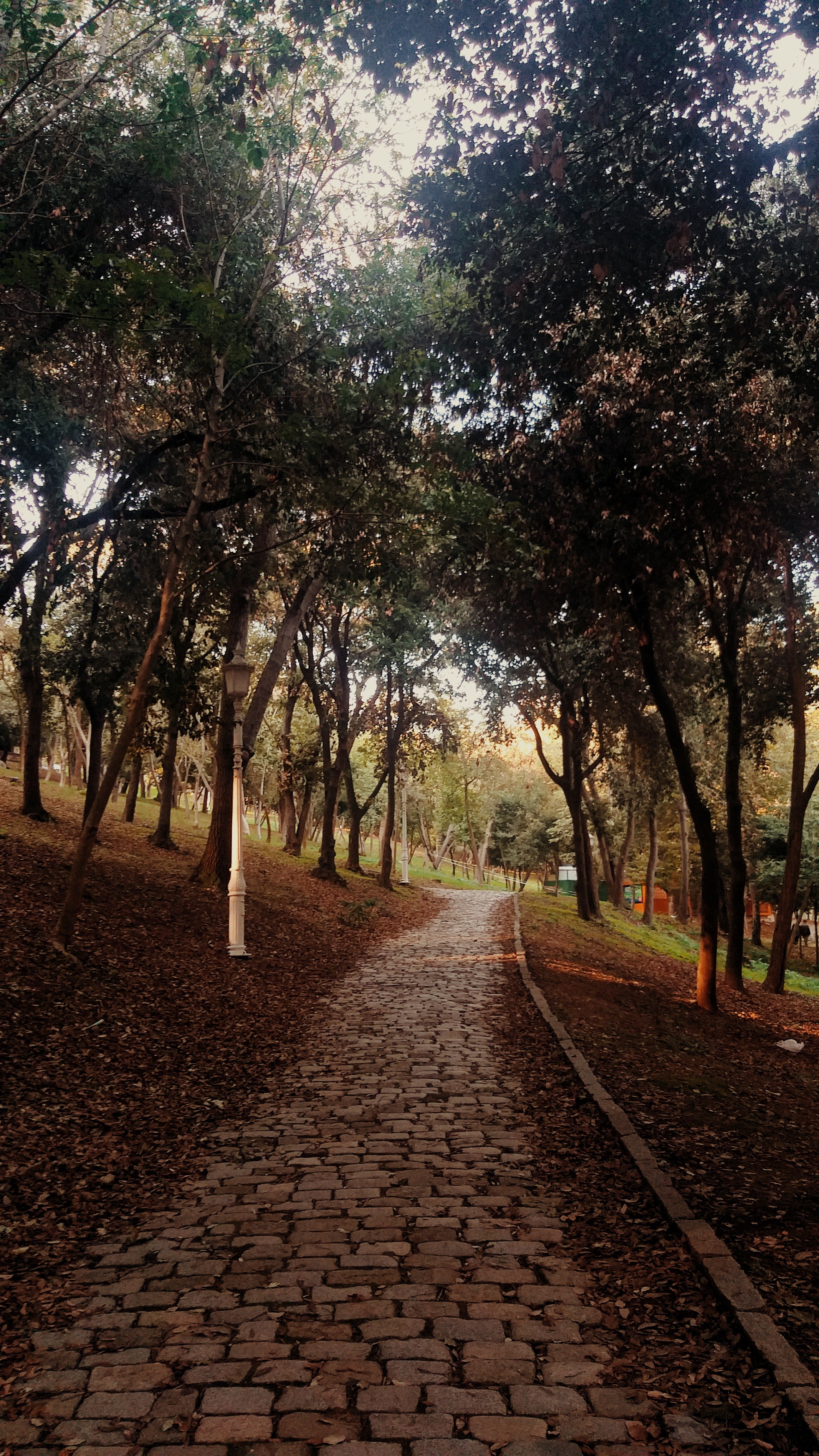 Fotomural Un tranquilo camino de adoquines serpenteando por un exuberante parque en Estambul, Turquía durante el otoño.