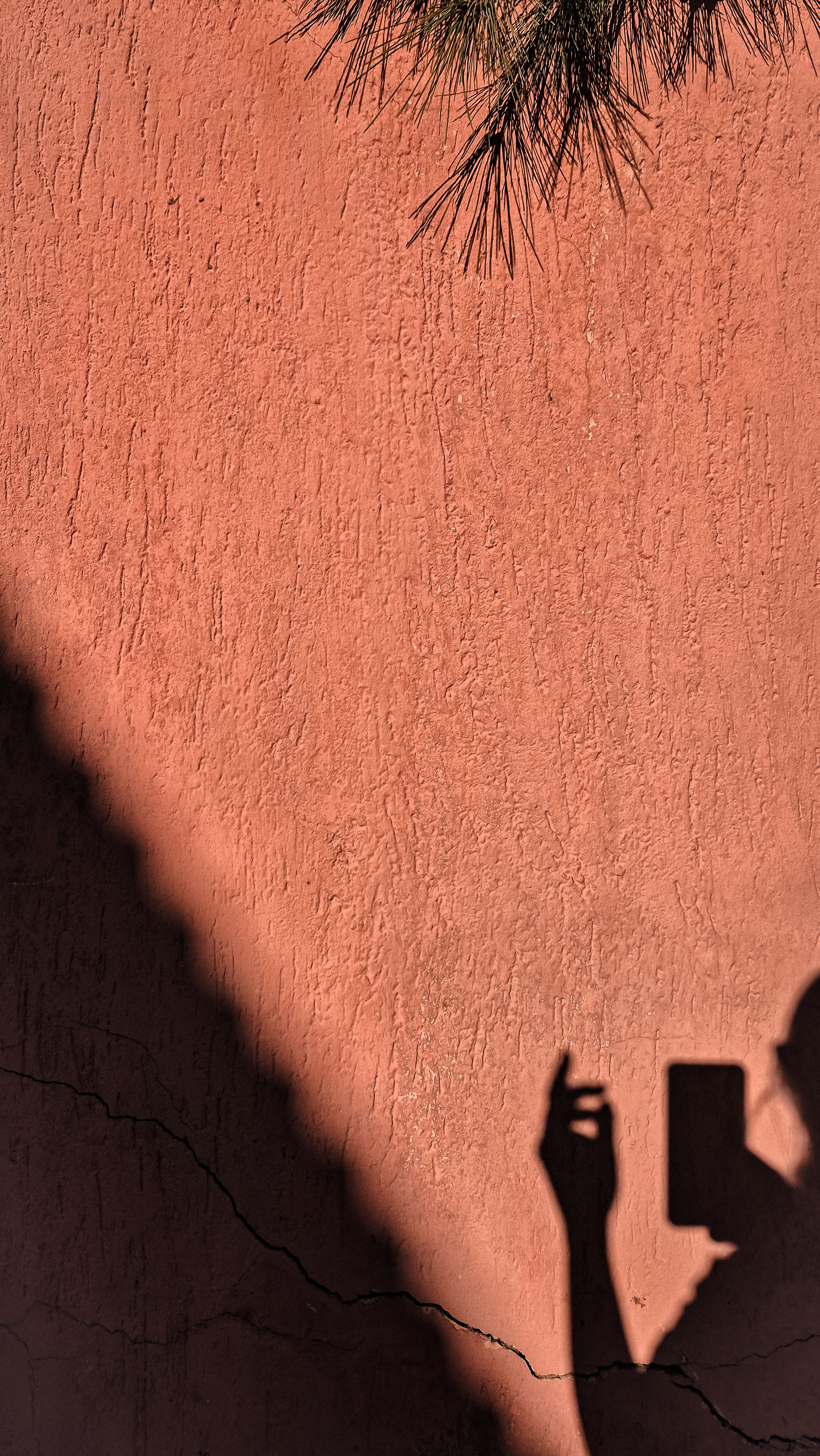 Shadows Photos, Download The BEST Free Shadows Stock Photos & HD Images