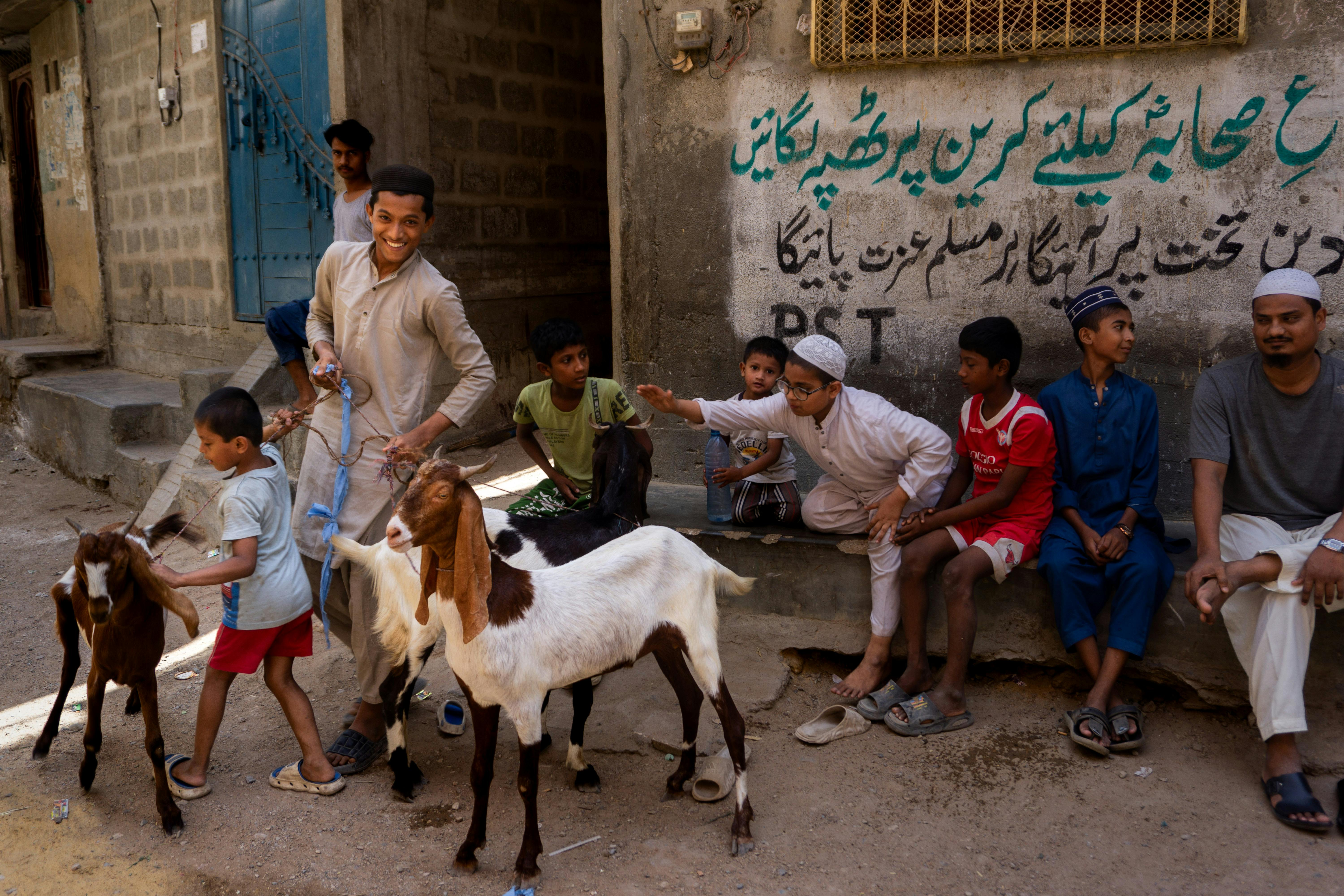 Joyful children with goats on a lively street in Karachi, Pakistan.