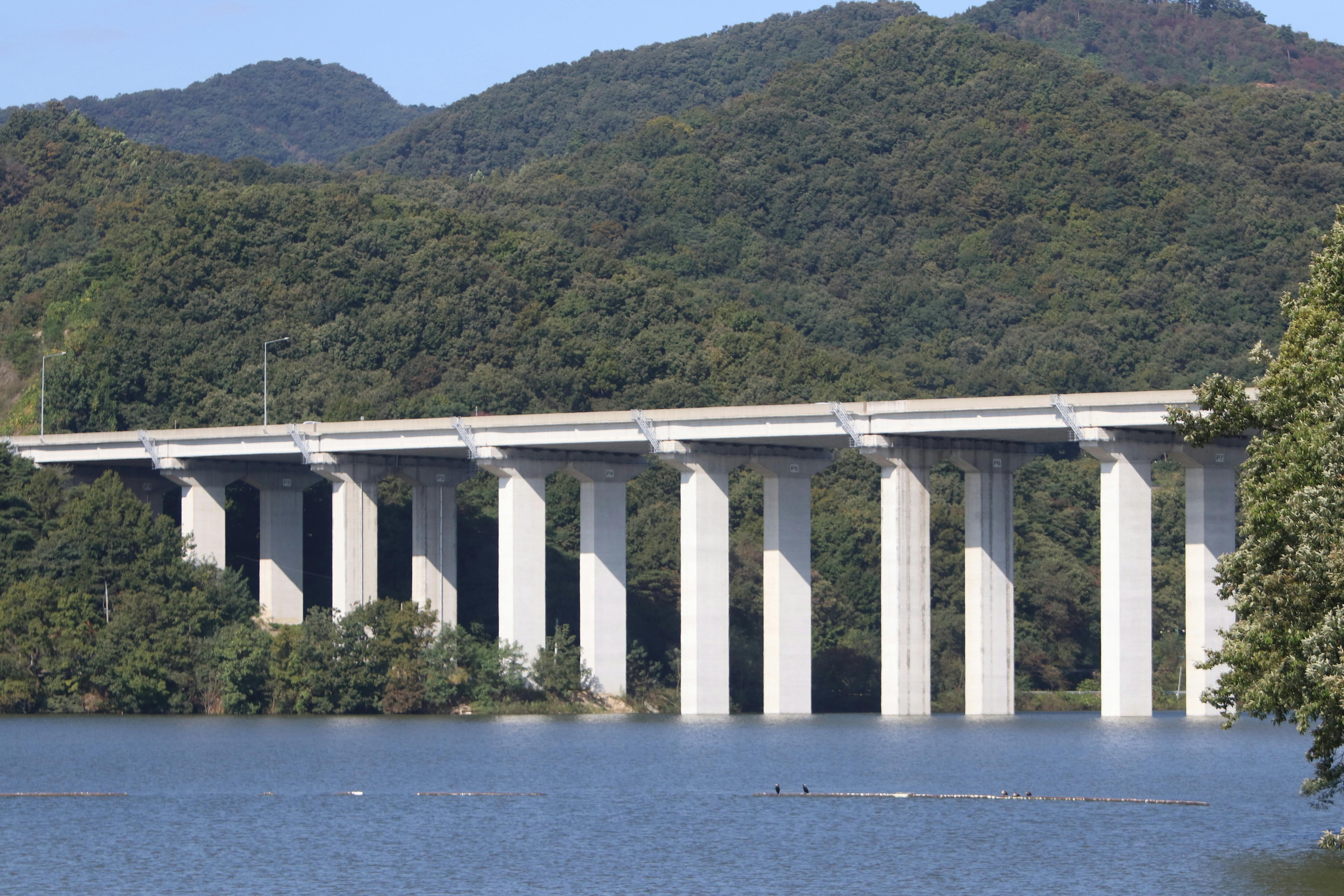 Western Hills Viaduct closes Monday for maintenance repairs - FOX19 — Photo by Chhabiraj Adhikari on Pexels