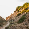 Photo by Ben B. on Pexels