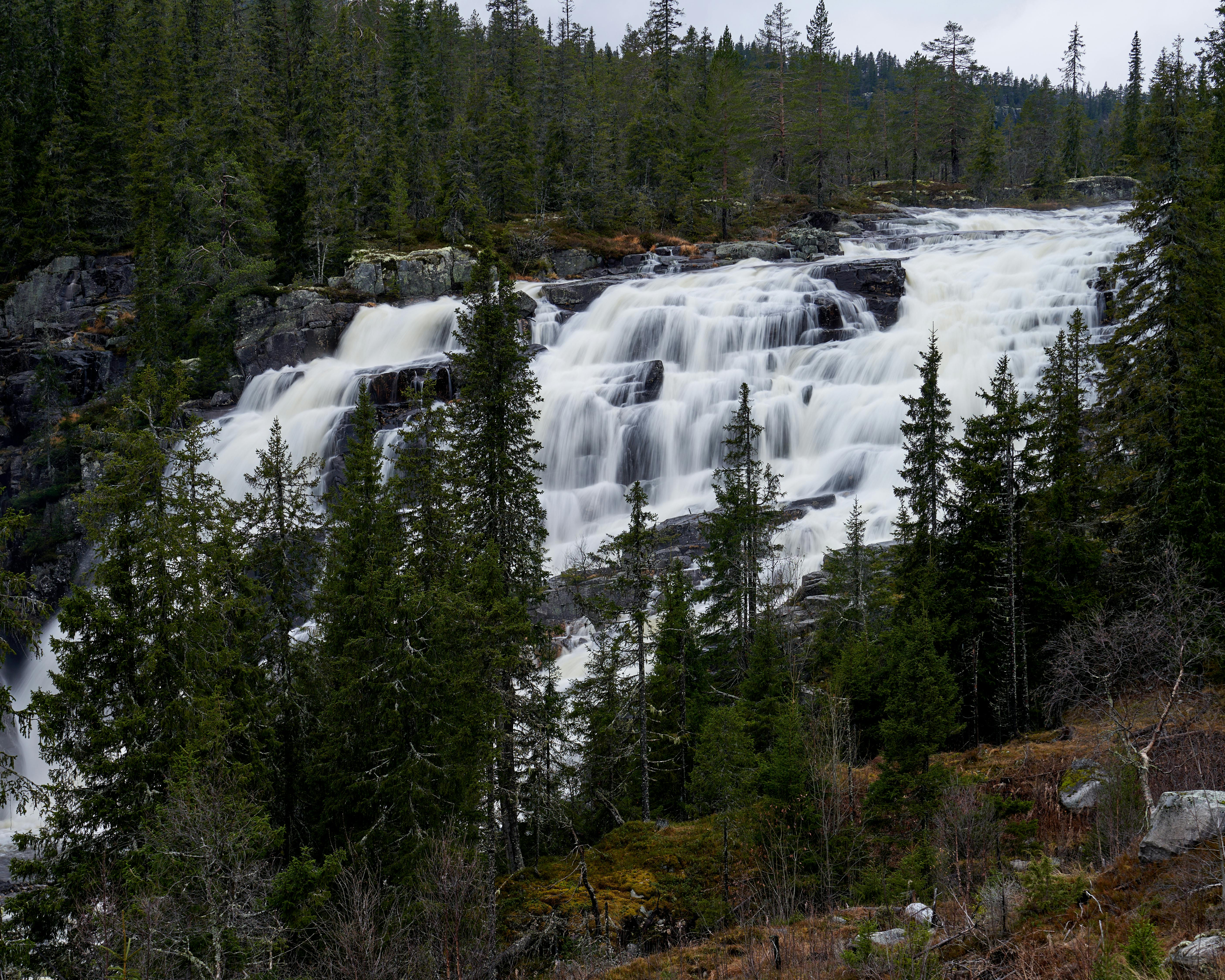 阿里山林鐵入選國際出版社經典鐵道名單