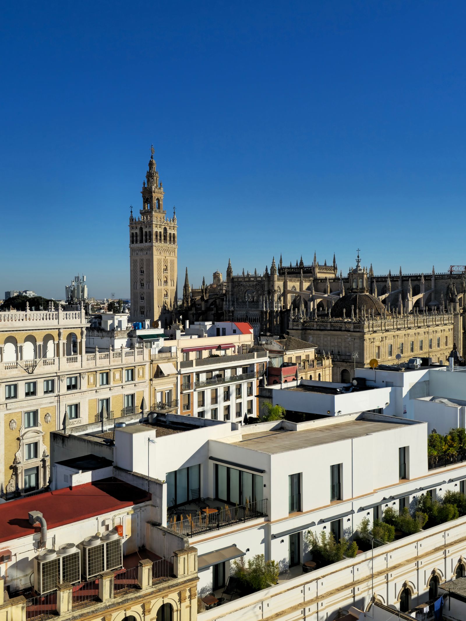 Aerial view of Seville Cathedral and La Giralda tower