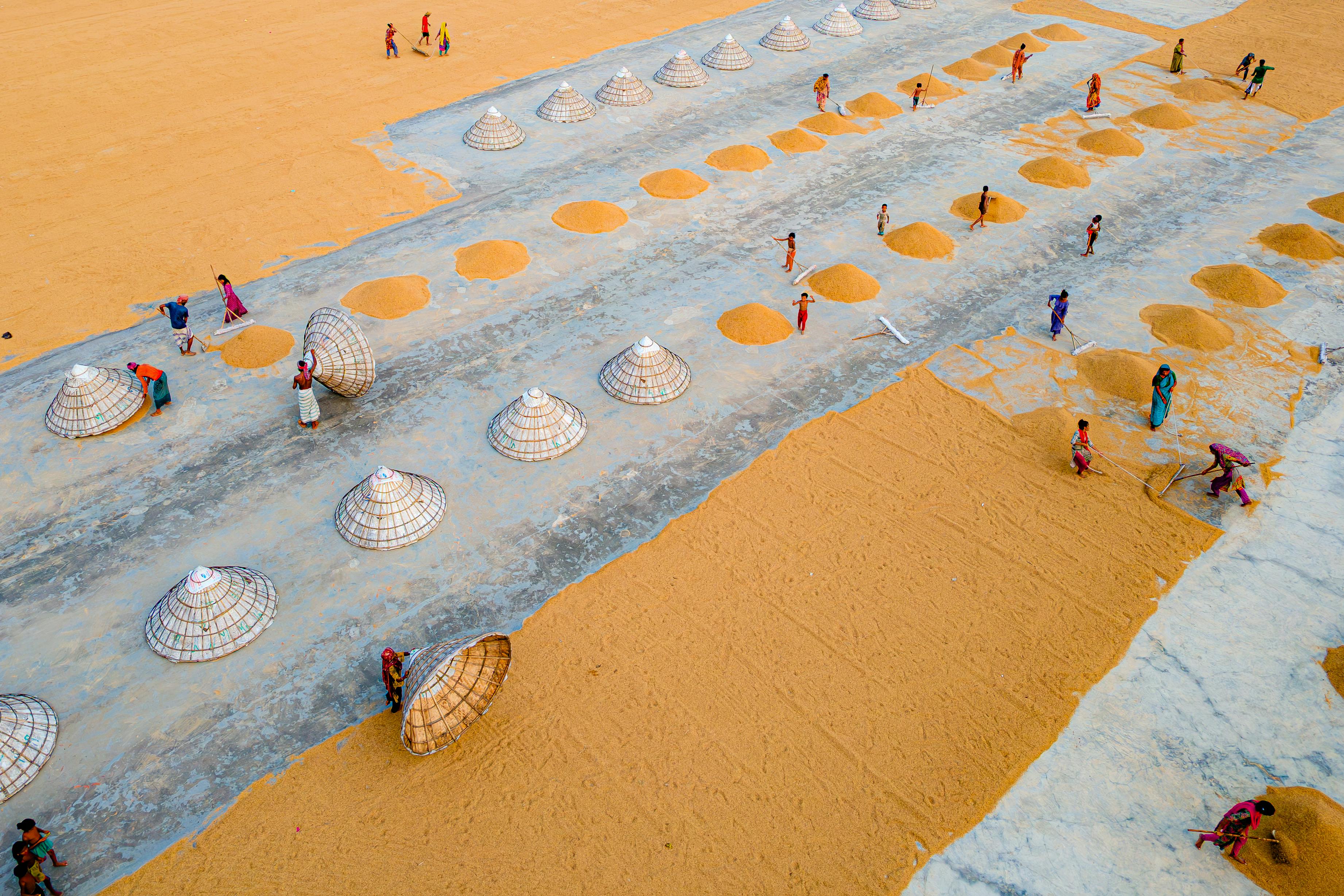 Impact on Farmers and Agricultural Practices