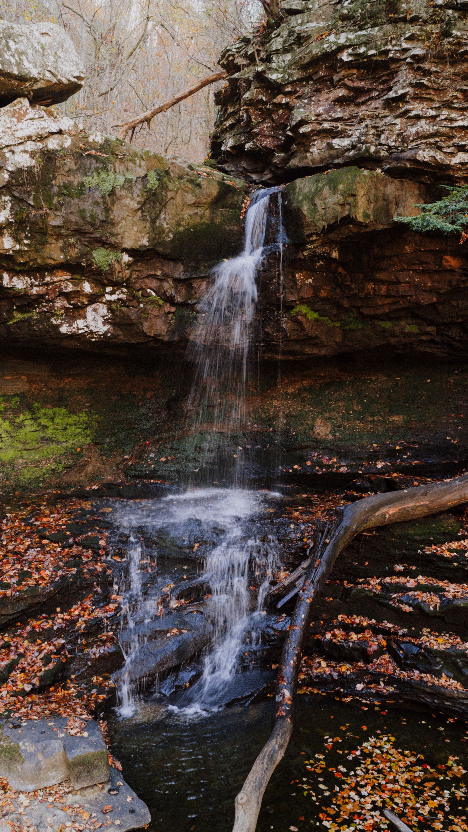 Cloudland Canyon State Park