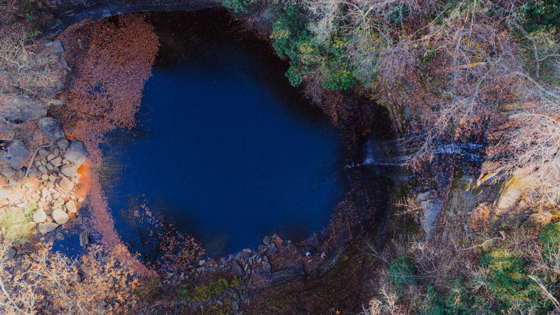 Prächtige Naturszene mit Bäume & Blau