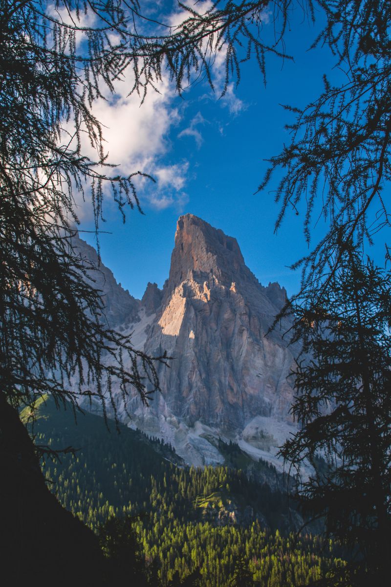 Captivating alpine landscape in Veneto, showcasing rugged mountain peak framed by trees.
