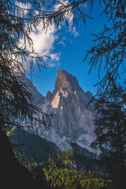 Free Captivating alpine landscape in Veneto, showcasing rugged mountain peak framed by trees. Stock Photo