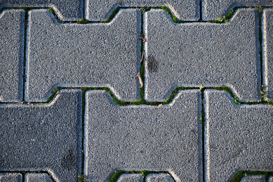 Close-up view of a grey brick walkway with moss growing in between the bricks.