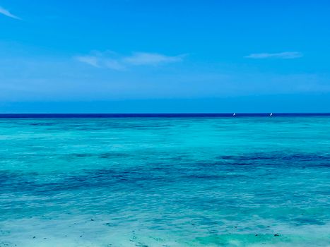 Prison Island giant tortoises — Zanzibar