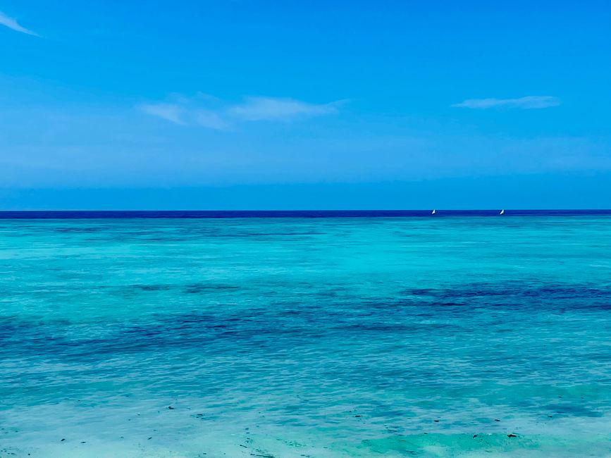 Plage de sable blanc et pirogue traditionnelle sur l'eau turquoise à Zanzibar