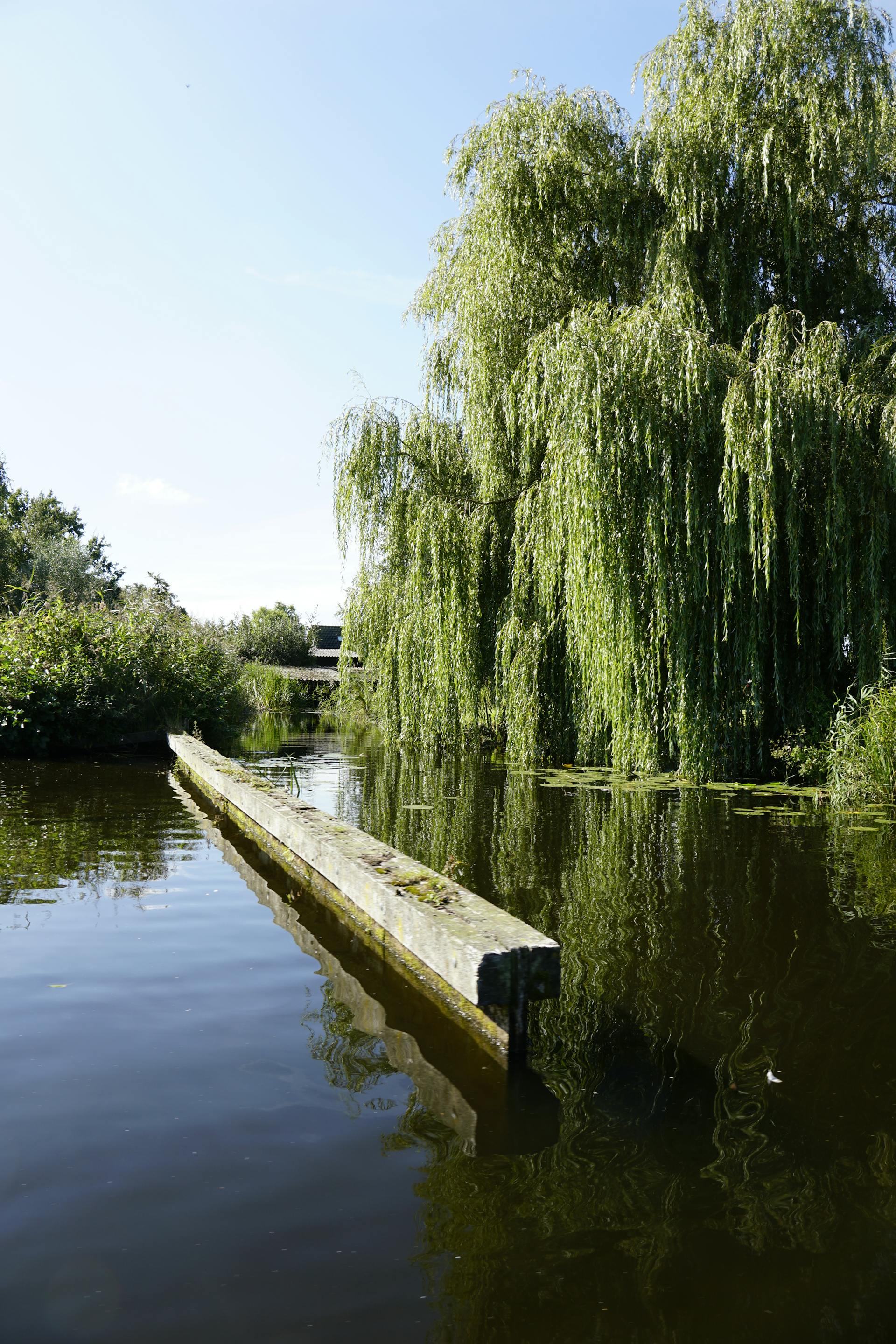 Giethoorn grachten met bruggetjes en rietgedekte huizen - Venetië van het Noorden