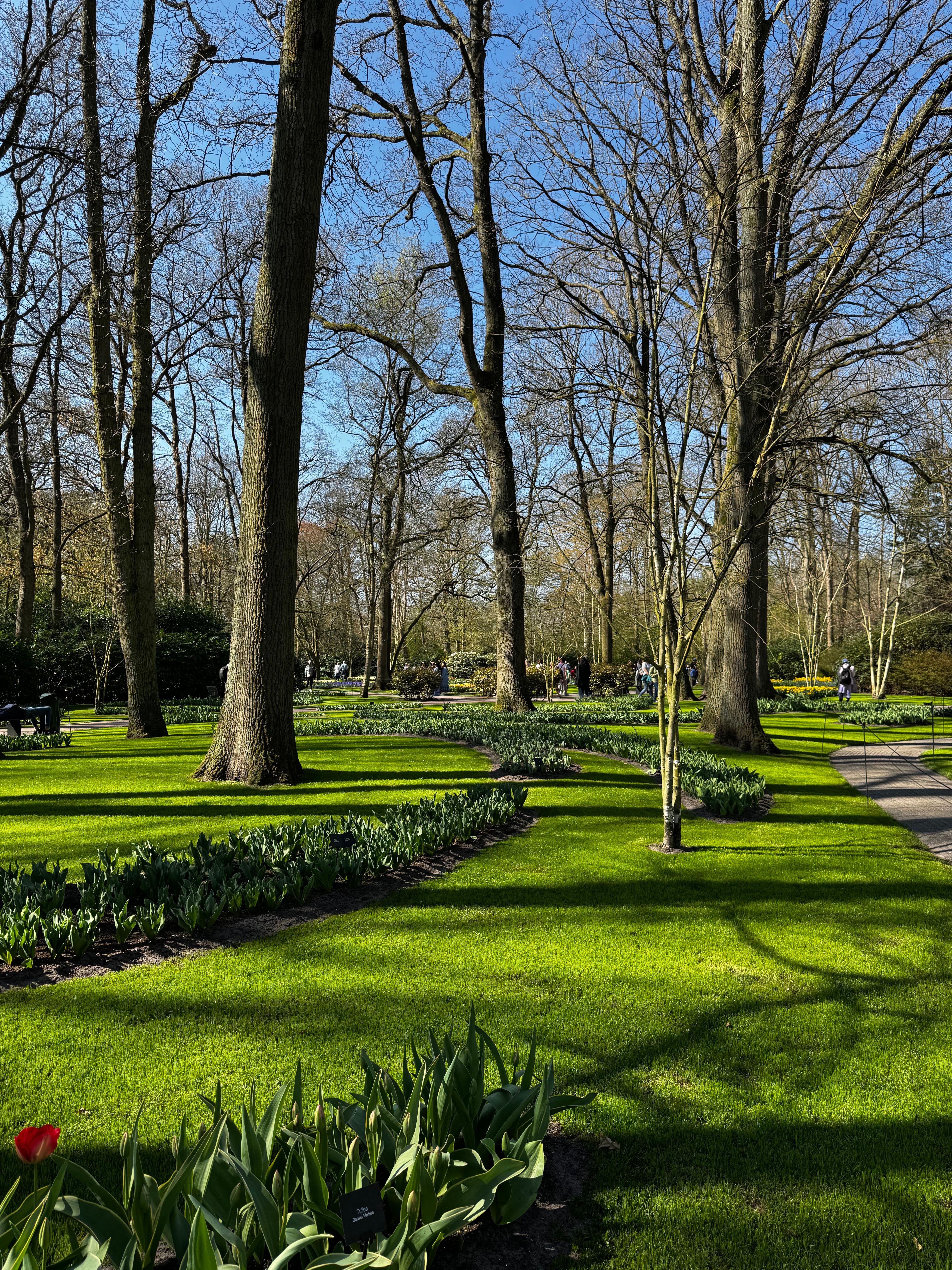 Jardin paysager verdoyant au printemps aux Pays-Bas