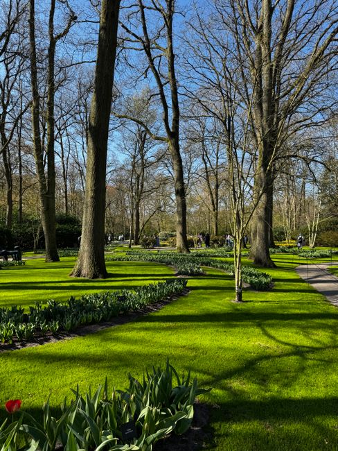 Jardin paysager verdoyant au printemps aux Pays-Bas