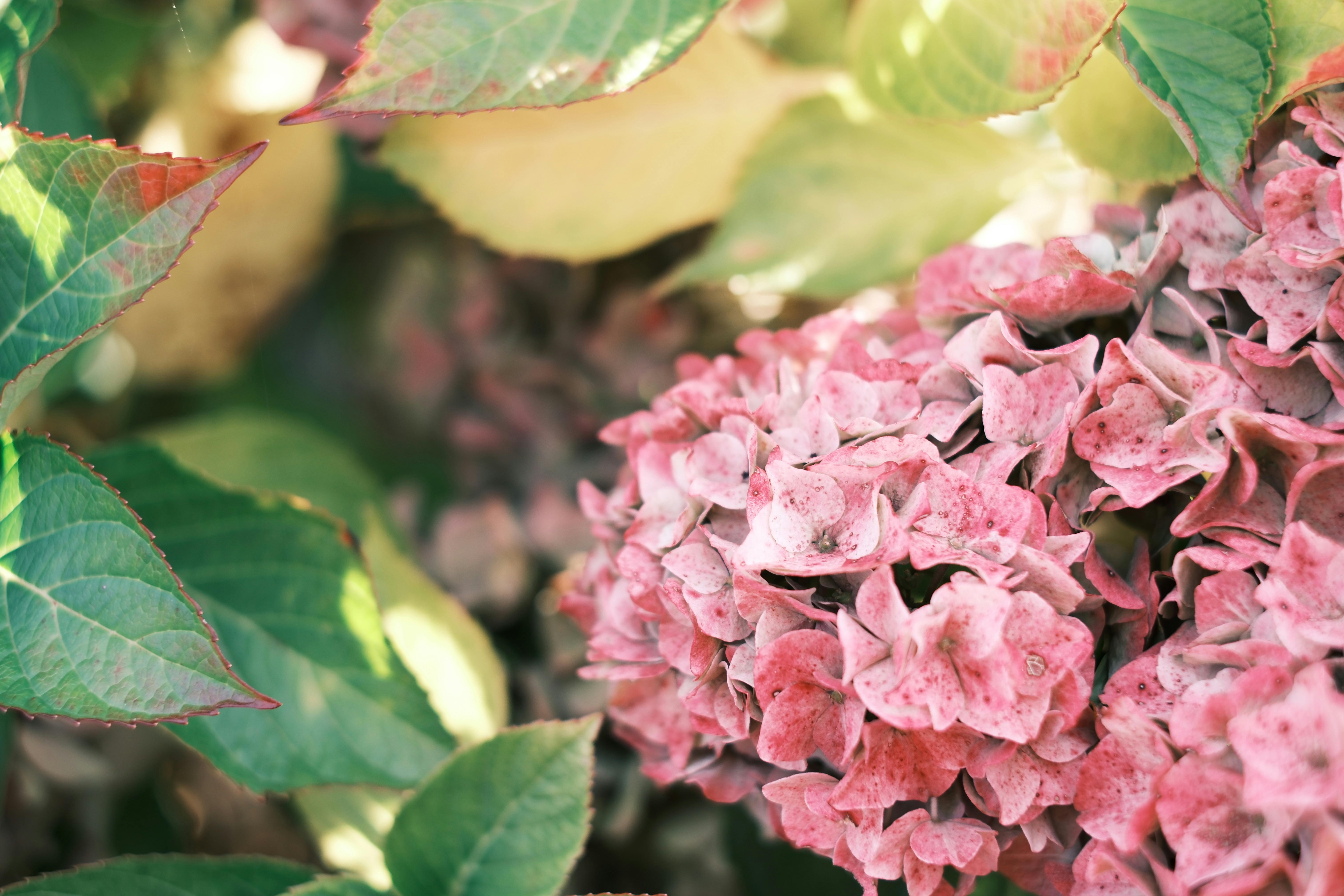 台灣氣候績效不振 關鍵在政治誠信與執行力不足