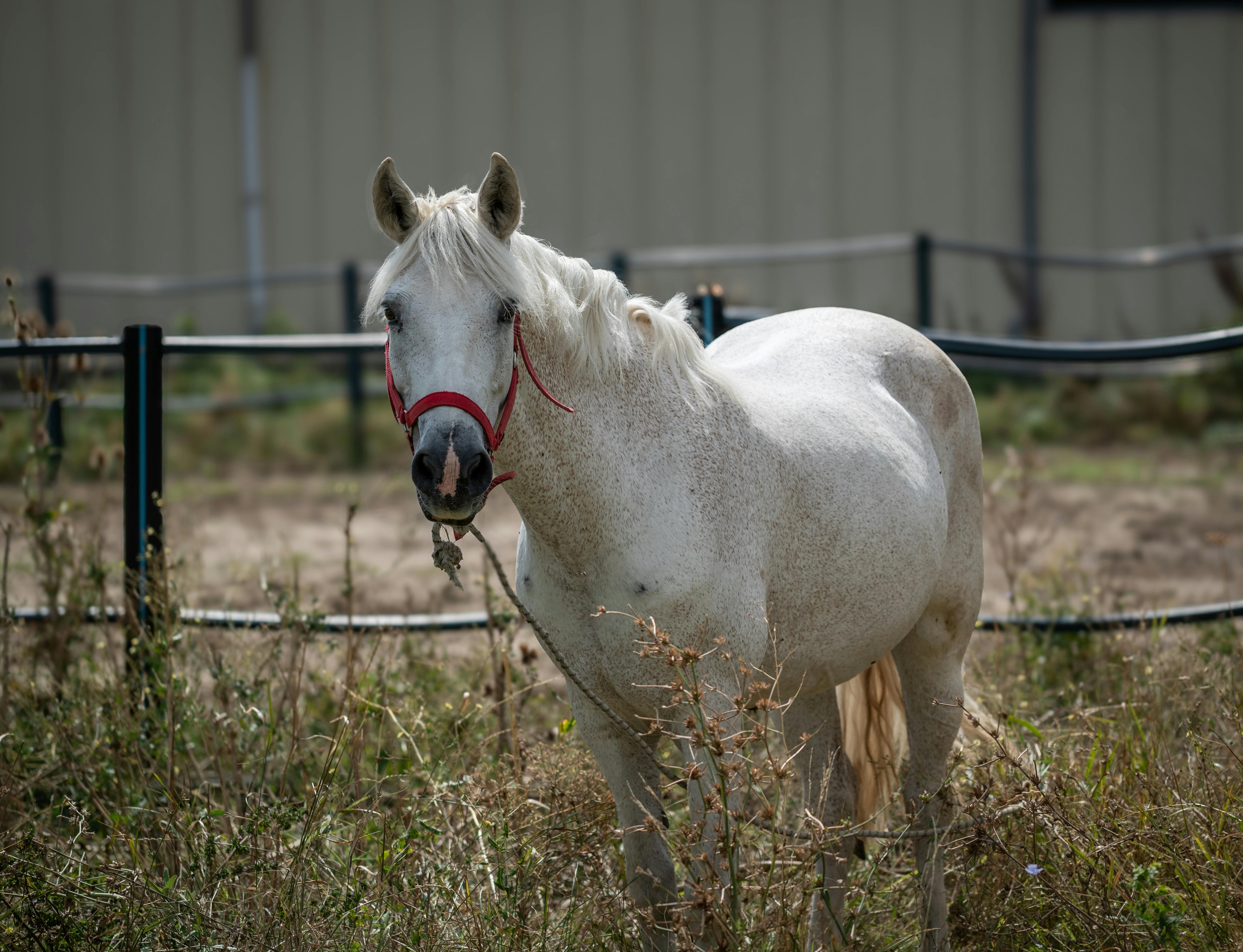 里山生活市集百攤友善農友齊聚 共創永續共好農業模式