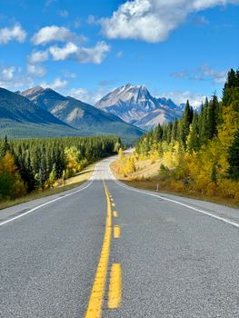 A winding road leading through autumn foliage with stunning mountain views under a bright blue sky.