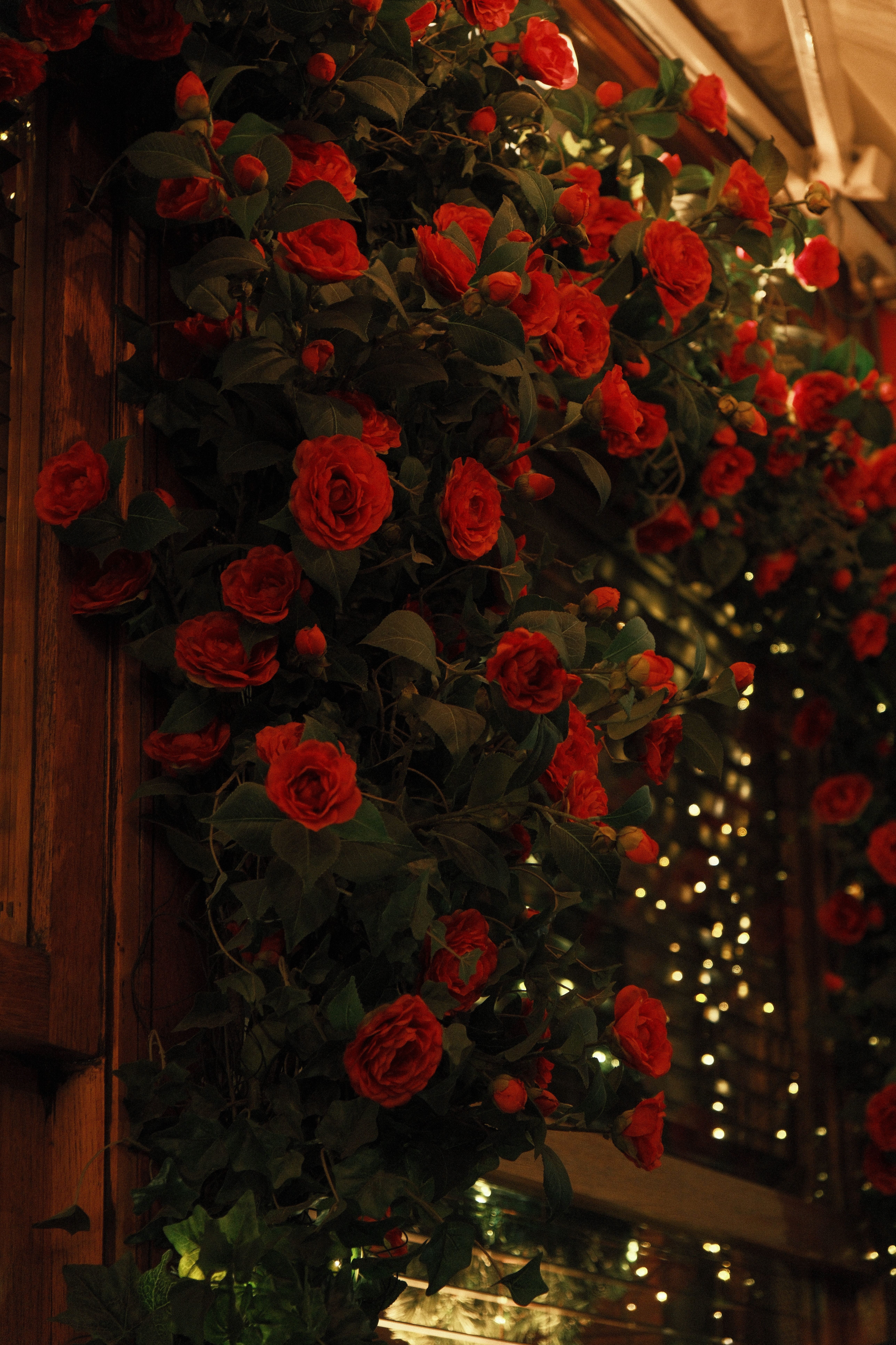 Hanging Red Roses with Elegant Romantic Decor · Free Stock Photo
