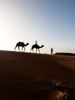 Silhouette of camels and person walking across a sandy desert dune at sunrise.