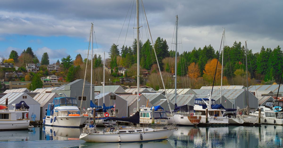 Scenic view of sailboats docked at a marina in Olympia, Washington, on a cloudy day with autumn foliage.