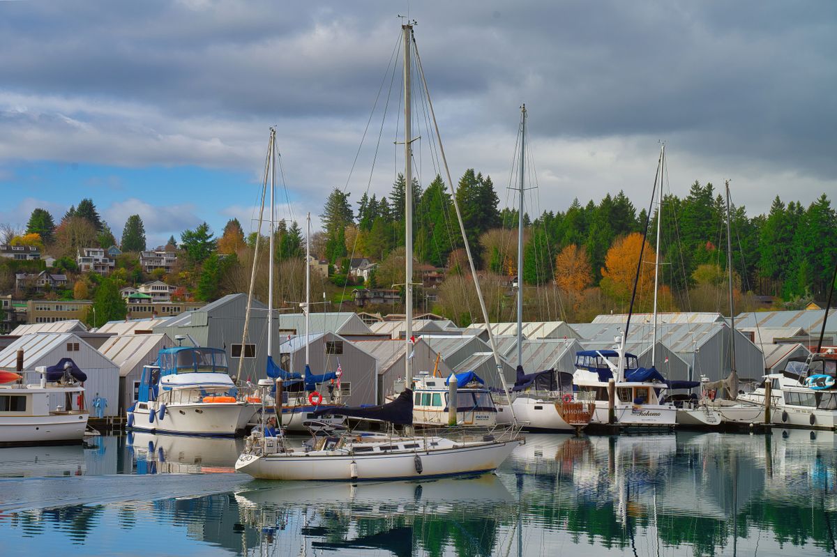 Olympia Harbor marina representing always-on business activity in the Pacific Northwest