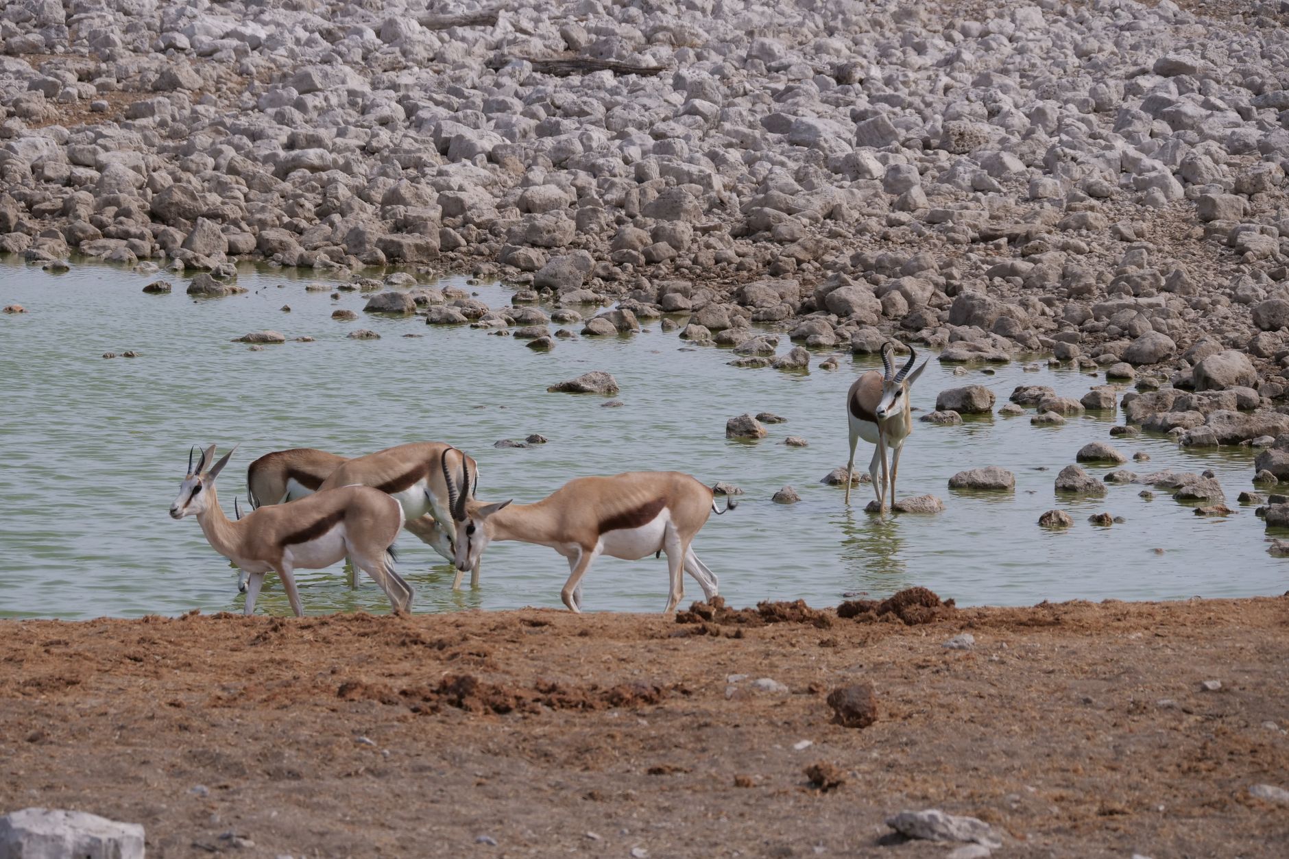 When to Book Namibia Lodges for 2027: A Pre-Season Guide