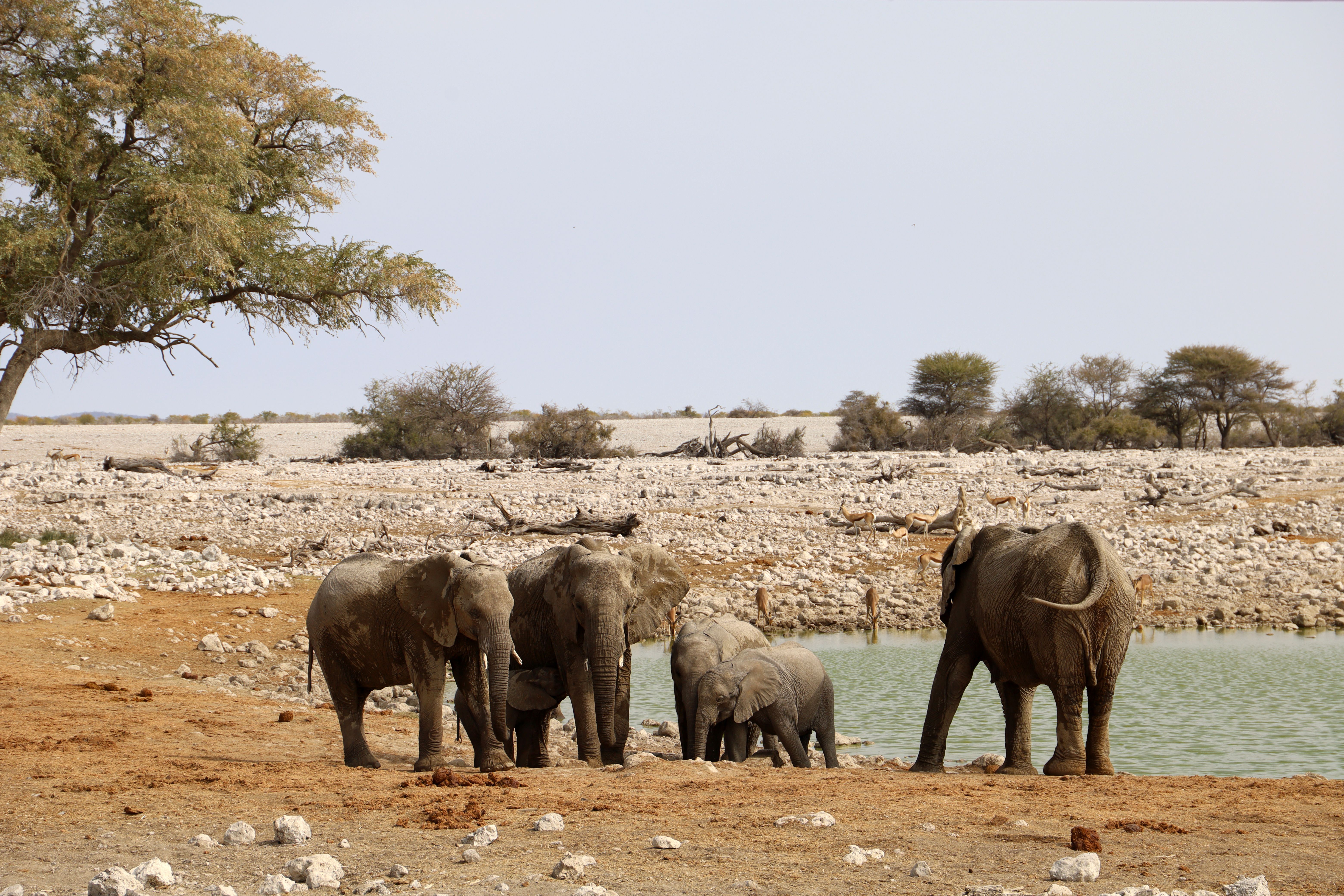 Landmarks in Etosha National Park